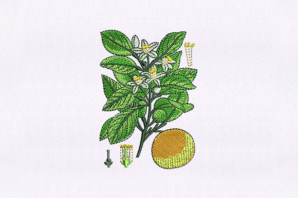 Floral Vines Orange: A Seasonal Embroidery Review