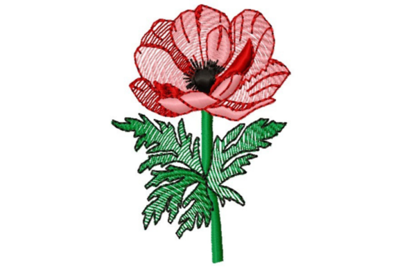 Sketched Poppy: A Seasonal Floral Embroidery Review